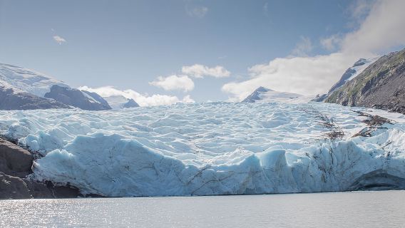 Glaciares y vida silvestre: Excursión panorámica de un día desde Anchorage