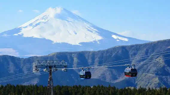 日本箱根ロープウェイ/海賊船＋江の島＋大涌谷＋芦ノ湖ワンデーツアー