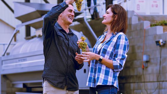 Tour enologico nella Temecula Valley con degustazioni e pranzo inclusi