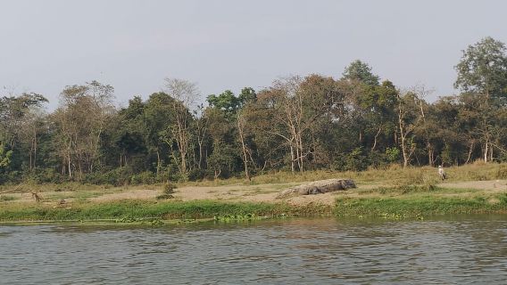 Tur Kombo Chitwan: Safari Jeep, Berkano & Jalan-jalan di Hutan