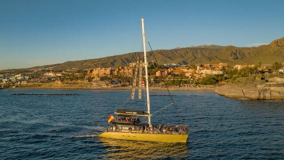 Costa Adeje: Whale Watching Cruise with Snack and Drinks