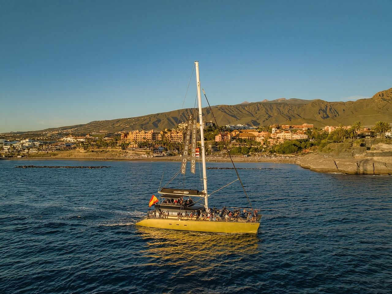 Costa Adeje: Whale Watching Cruise with Snack and Drinks