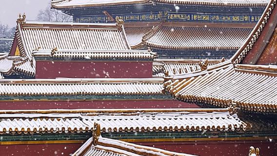 Beijing : Forbidden City Entry Ticket