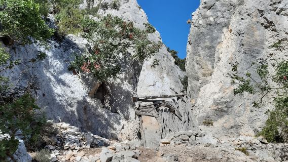 Da Baunei: Escursione a Cala Mariolu