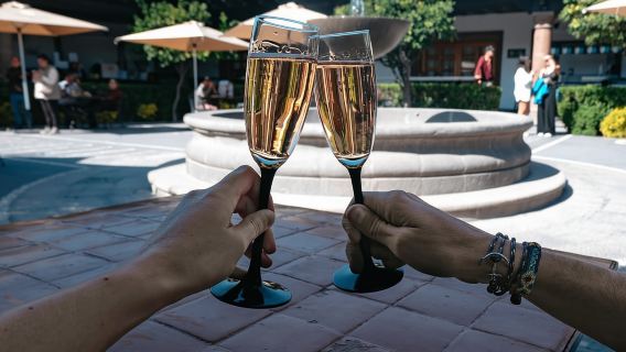 Querétaro: Tour de queso y vino en un día