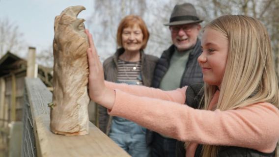 Kingussie: biglietto d'ingresso per l'Highland Wildlife Park