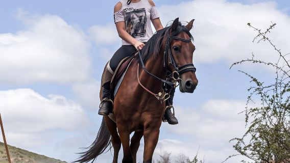 De Rust: Stompdrift Trail - Horse Riding Experience