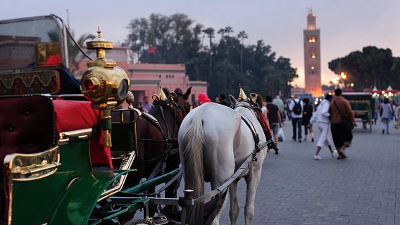 Marrakech: 1-Hour Traditional Horse-Drawn Carriage Tour