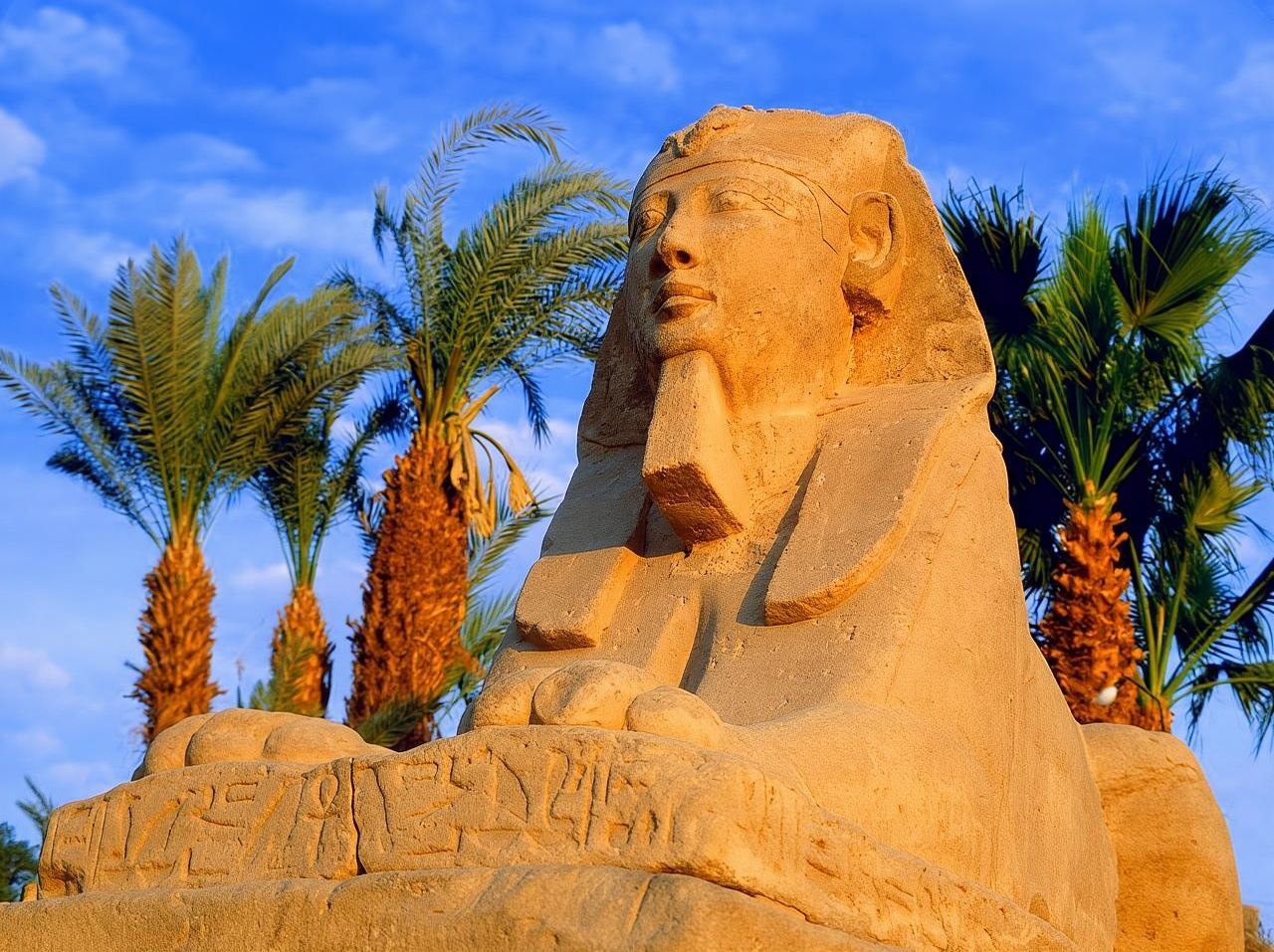 Cairo's Best: Giza Pyramids, Memphis, Dahshur & Saqqara Tour