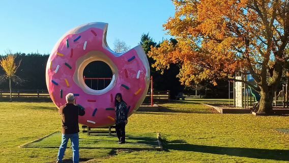 Lyttelton: Shore Excursion, Castle Hill & Inland Canterbury