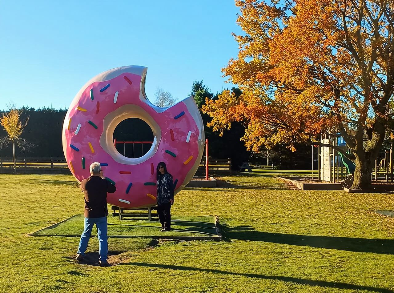 Lyttelton: Shore Excursion, Castle Hill & Inland Canterbury