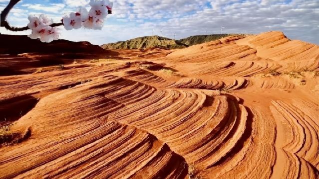 1-Day Private Chartered Tour to Wave Valley, Flaming Danxia, and Red Cliff Danxia