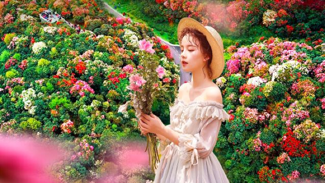 貴陽出發畢節百里杜鵑一日遊【純玩&金坡+普底雙景區暢遊】