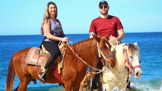 Cabo Desert Off-Road & Beach Horseback Combo and Tequila Tasting