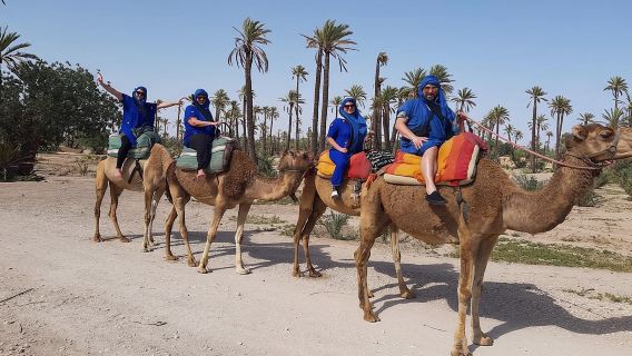 Camel Ride in Marrakech desert palmgrove