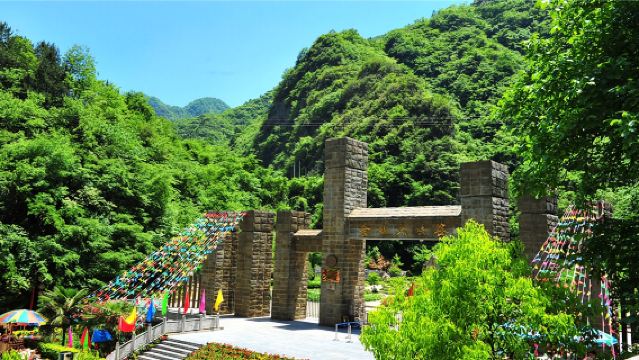 金絲峽景區一日遊【峽谷奇觀 生態王國 親子周邊假期休閒】