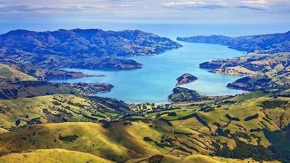 Akaroa Full Day Sightseeing Tour from Christchurch