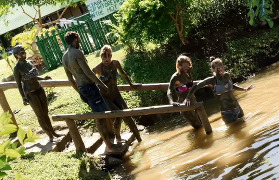 泥漿池 - 納迪私人療養池、花園、寺廟、市場和購物之旅