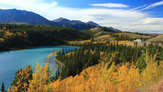 Skagway Shore Excursion: Yukon Discovery Tour