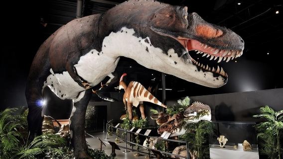 Branson Dinosaur Museum Admission Ticket