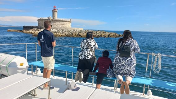 Tagus River Dolphin Watching Cruise from Lisbon, Portugal (2.5 hours)