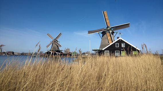 Zaanse Schans half-day tour from Amsterdam