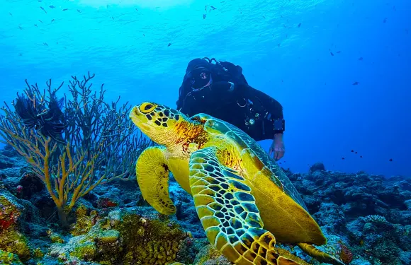 仙本那跳島遊 馬達京汀巴汀巴邦邦島一日遊 浮潛/深潛 潛水