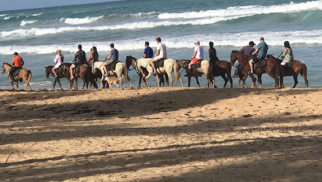 Sunset beach horsebackriding Punta Cana