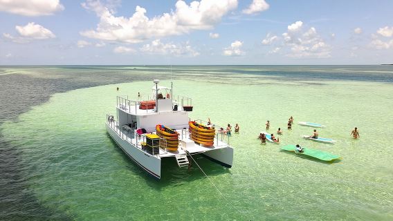 Key West Sandbar Charter With Kayak Tour: Includes Lunch & Drinks
