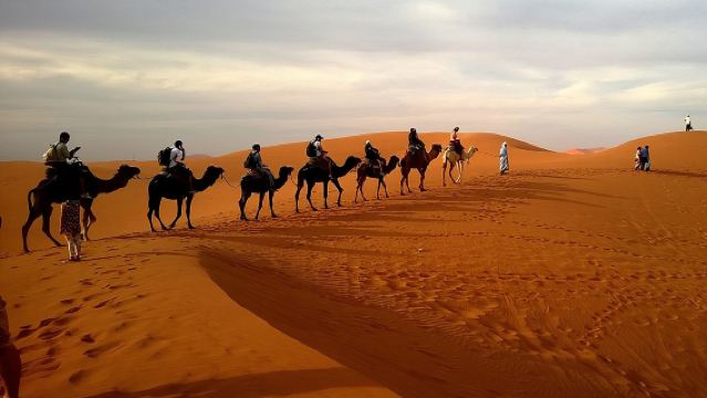 Dubai Evening4x4Desert Safari,BBQ Dinner,Belly Dance,Camel Ride