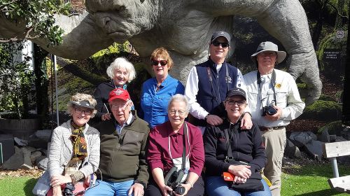 Wellington City to Coast Highlights Tour (5 Hours with Lunch) Day Tours