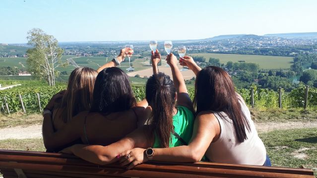 Dégustation de champagne, promenade panoramique dans les vignes