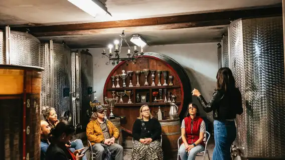 จากลียง: ทัวร์ชิมไวน์ Beaujolais พร้อมชิมไวน์