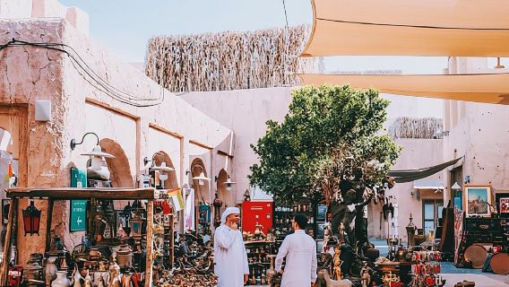 Private Dubai CityTour with Miracle Garden or Global Village