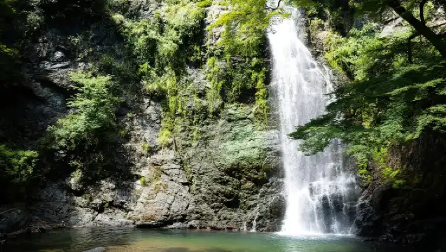 大阪：箕面市、勝尾寺及箕面瀑布全日遊