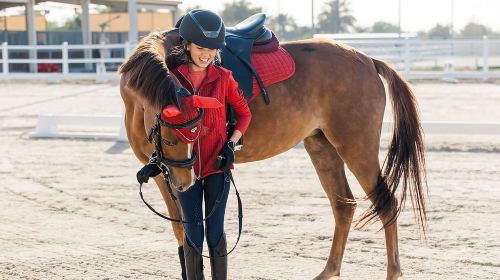 Abu Dhabi Horse Riding Experience 9