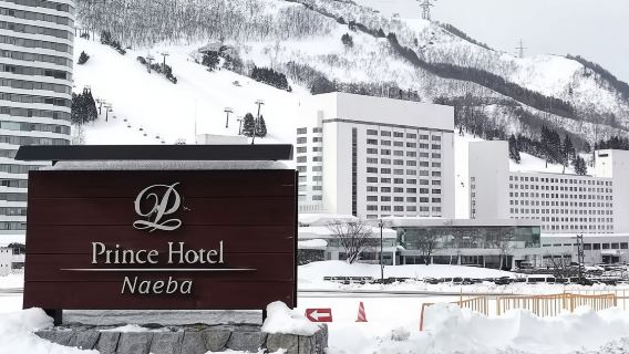 Bus ad alta velocità per Naeba - Partenza/Arrivo dall'Aeroporto di Narita e dalla Stazione di Tokyo (Corsa 254, 221)