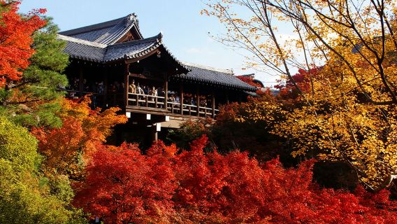 Japan Transportation Tokyo to Osaka Kyoto Transportation Two-way One-way Ticket High-speed Night Bus Four-row Bus Ticket