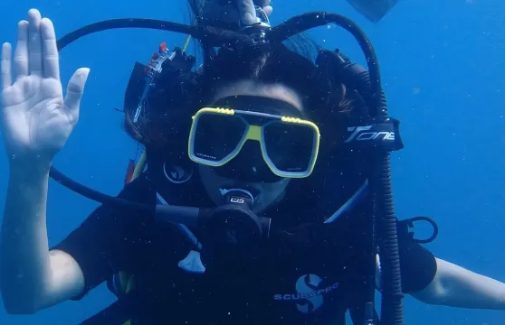 大島探險：潛水和水上運動的刺激體驗