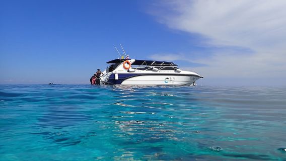 Schnorchelabenteuer-Meeresausflug von Koh Lanta nach Koh Rok und Koh Haa