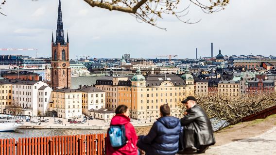 Stockholm Private Custom Tour with a Local Guide, Highlights & Hidden Gems