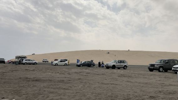 Qatar | Desert Safari + Camp private charter one-day tour