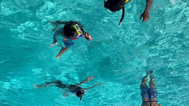 Bluefinn242 Swim with the Turtles in Nassau Bahamas