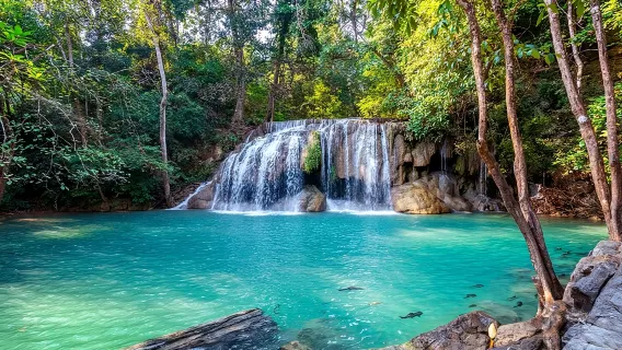 Private highlight: Erawan Waterfall and Elephant Care: Private Tour to Kanchanabur