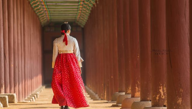 소규모 서울 하이라이트 투어 (한복 & 다도 체험 선택 가능)