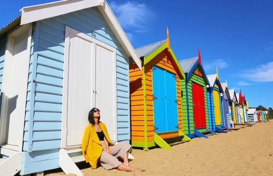 墨爾本出發企鵝歸巢及野生生態探索之旅