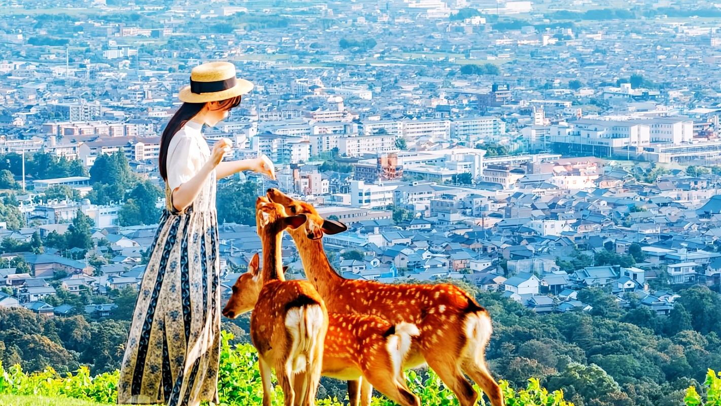 Schattig Hertjes Reis|Eendaagse tour Kioto, Osaka + Nara Park + Fushimi Inari Taisha + Arashiyama