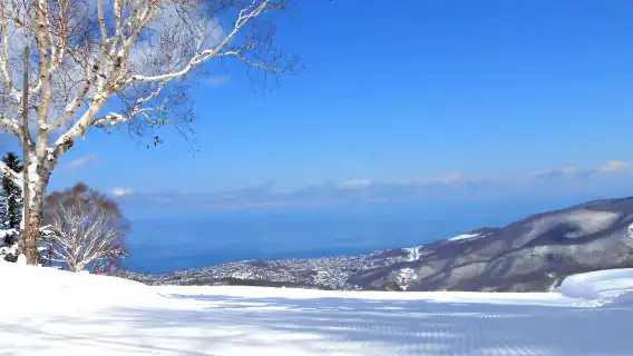 일본 홋카이도 오타루 아사리가와 스키 리조트 당일 치기 여행: 중국어 및 영어 가능 스키 강사 및 장비(선택 사항)