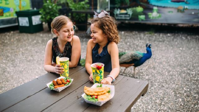 Florida Everglades Airboat Adventure and Wildlife Encounter