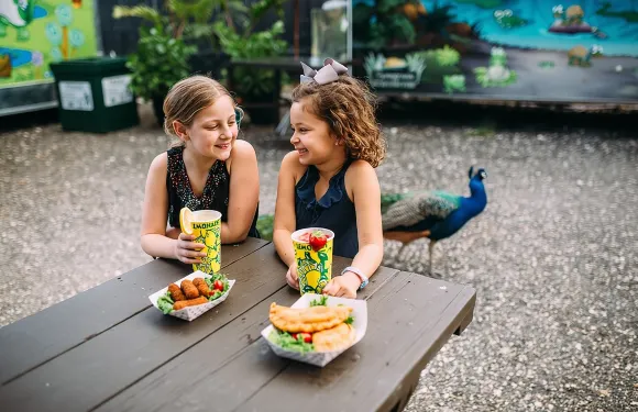 佛羅里達大沼澤地氣墊船探險與野生動物邂逅之旅